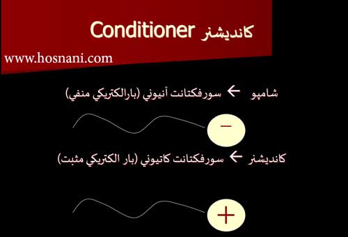 shampoo vs conditioner