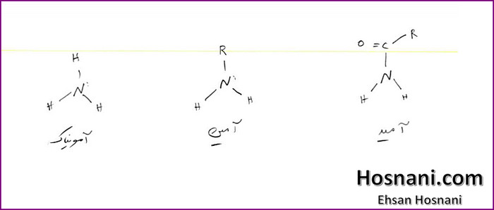 Amides are derivatives of carboxylic acids. The amide group is composed of two portions. The bond between the carbonyl carbon and the nitrogen of the amine or ammonia is called the amide bond.