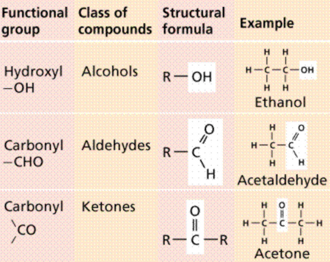Functional groups in organic molecules