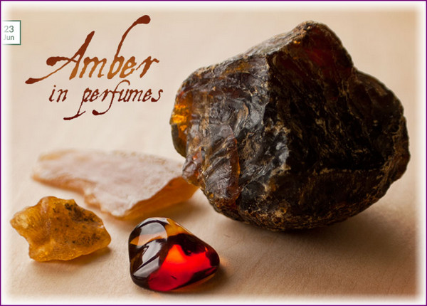 Labdanum resin is the most popular and most recognizably amber. Other resins often used are benzoin, balsam of peru, frankincense, myrrh