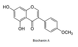 biochanin a