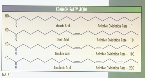 fatty acids2