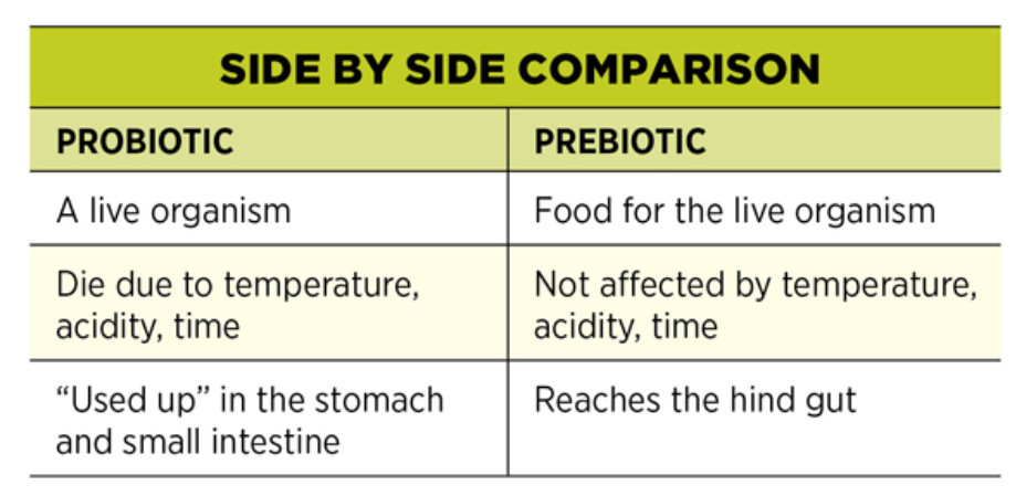 prebiotic vs probiotics2