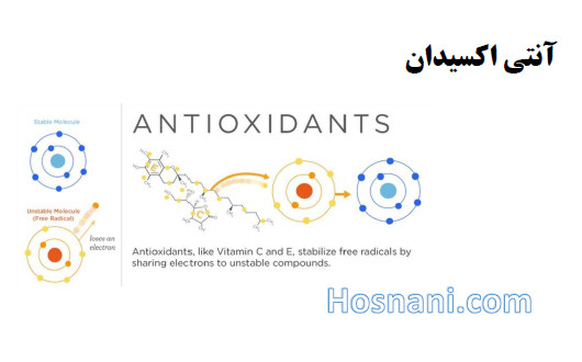 آنتی اکسیدان ها