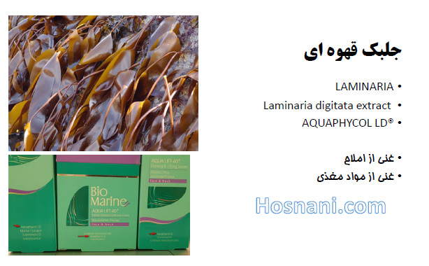 جلبک قهوه ای لامیناریا