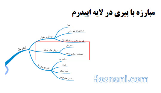 روش موقتی برای مبارزه با پیری پوست