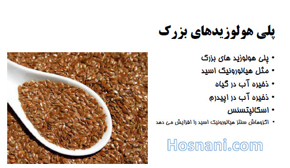 پلی هولوزیدهای بزرک