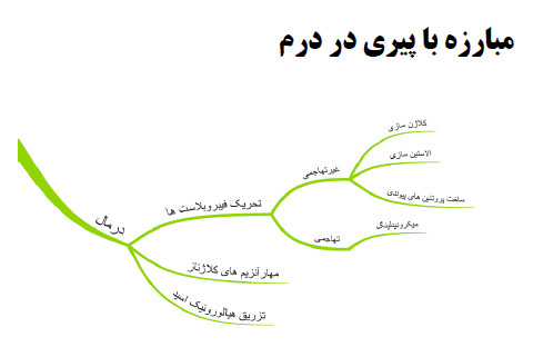 مبارزه با پیری پوست در لایه درم