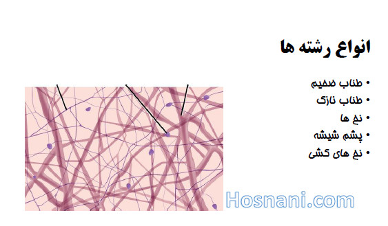 انواع رشته ها در ماتریس برون سلولی