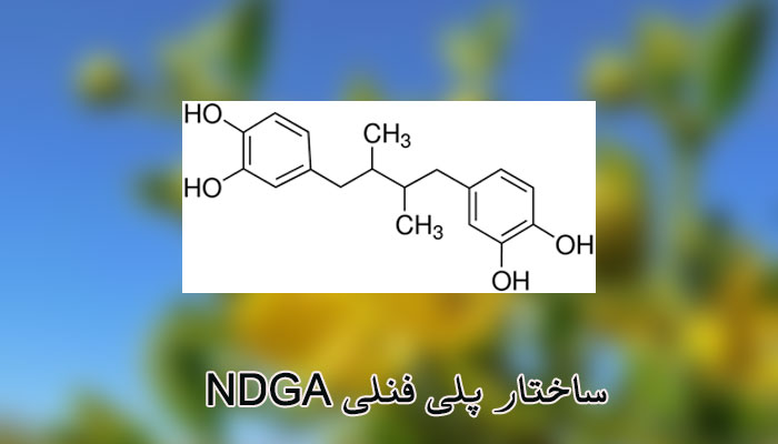 NDGA polyphenol