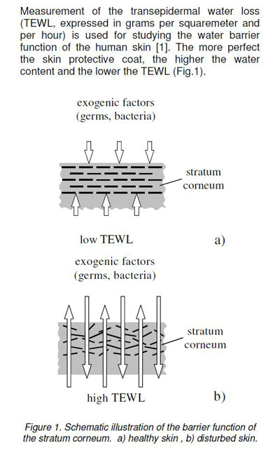 TEWL mechanism