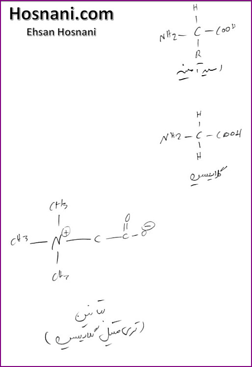 Trimethylglycine (TMG) is an amino acid derivative that occurs in plants. Trimethylglycine was the first betaine discovered; originally it was simply called betaine