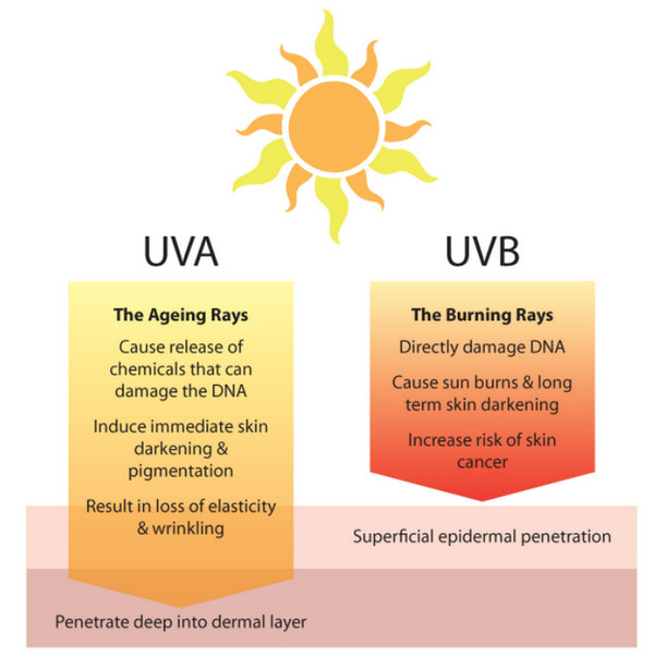 UVA aging UVB burning 