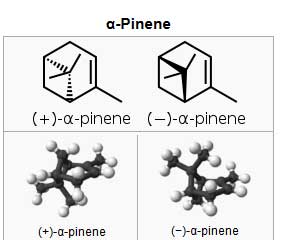 alpha pinene
