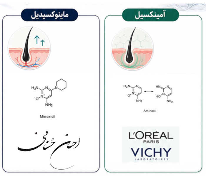 aminexil molecule is similar to minoxidil molecule
