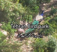 Tehran Birds Park