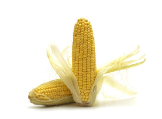 corn as the source of ribose