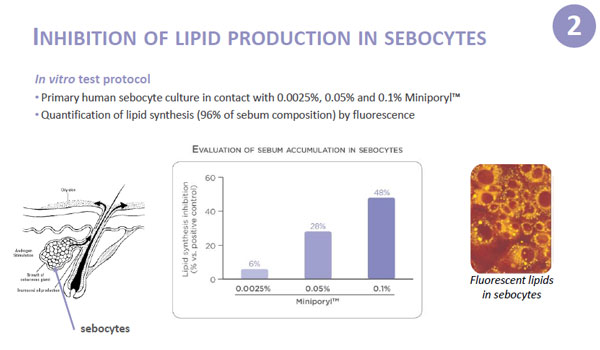 decrease in sebum production prove2