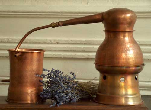 distillation lavender