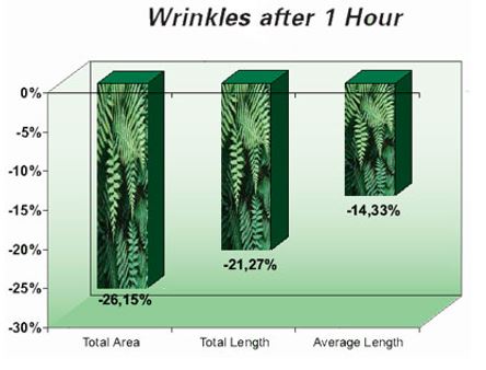 fern wrinkles