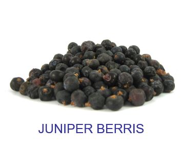 junniper berry