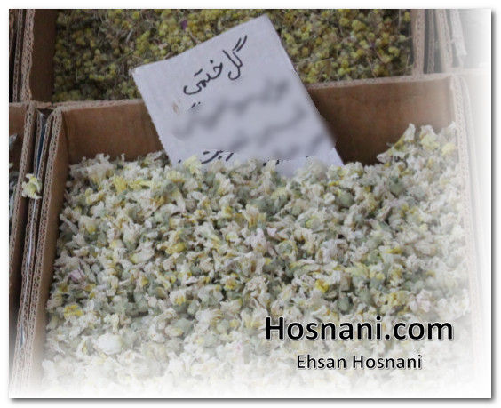 khatmi Althaea officinalis, also known as the marshmallow plant