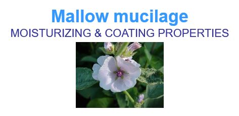 mallow mucillage