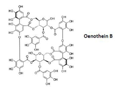 oenothein