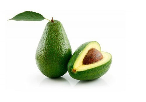 گیاه آووکادو Avocadu