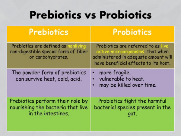 prebiotic vs probiotics