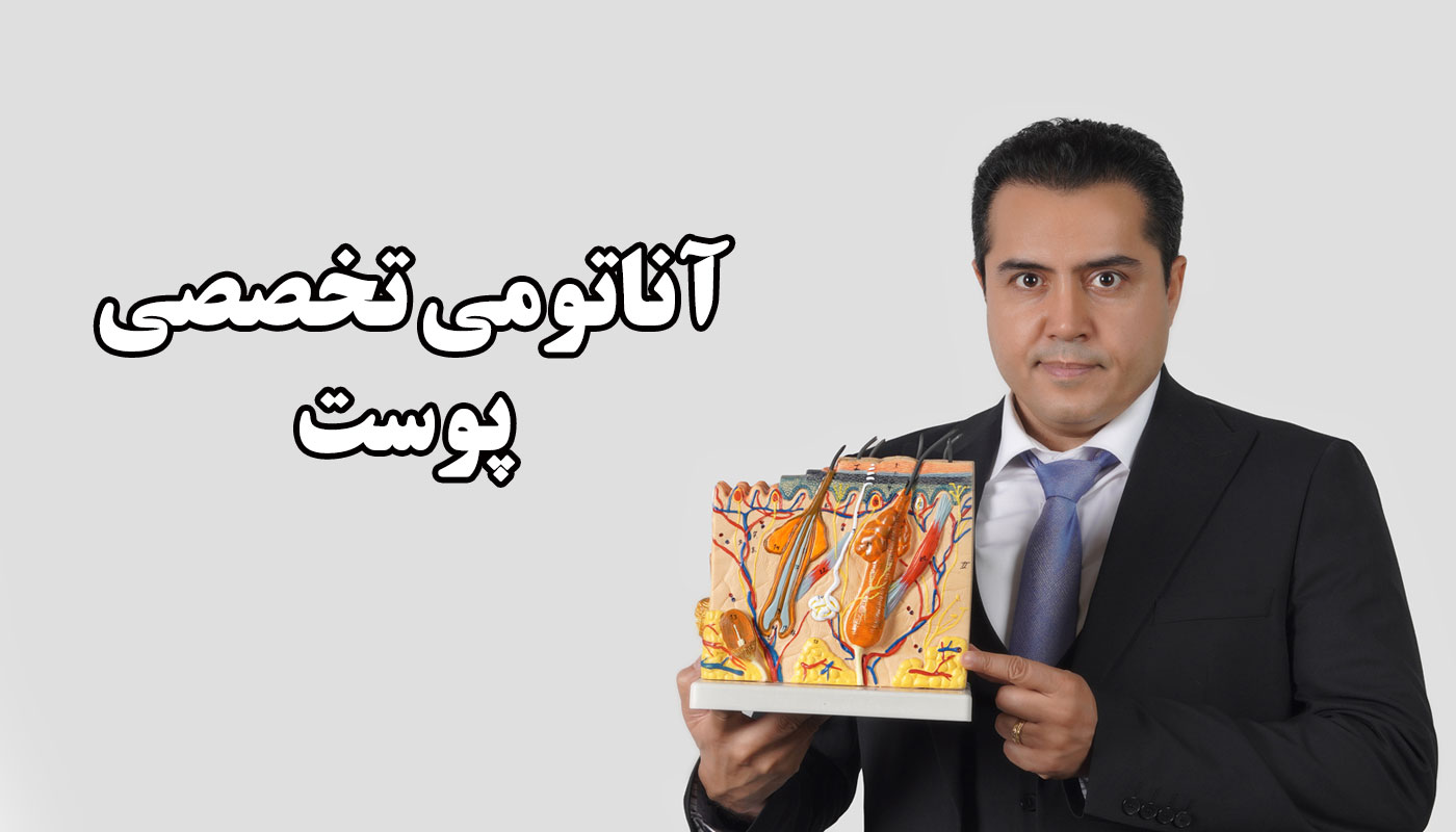 product skin anatomy webinar og