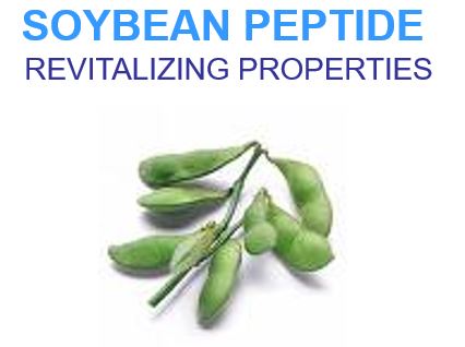 soybeab peptide