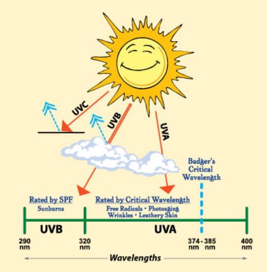 sun UV wavelenghtnm SPF