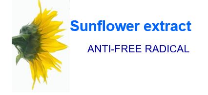 sunflower anti free radical