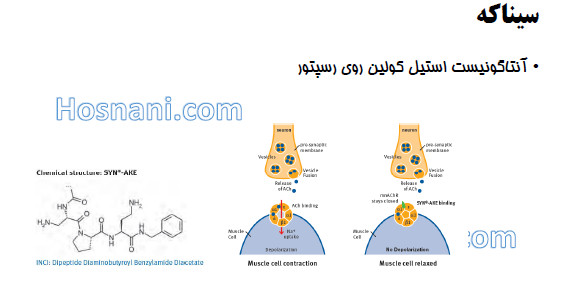 synake, an antagonist for muscarinic ACh receptors