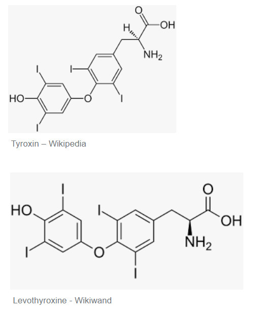 tyroxin vs levotyroxin