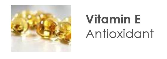 vitamin E antioxidant